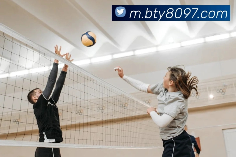 B体育APP 封面图